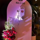 Halo360 Video Guestbook arch setup with flowers